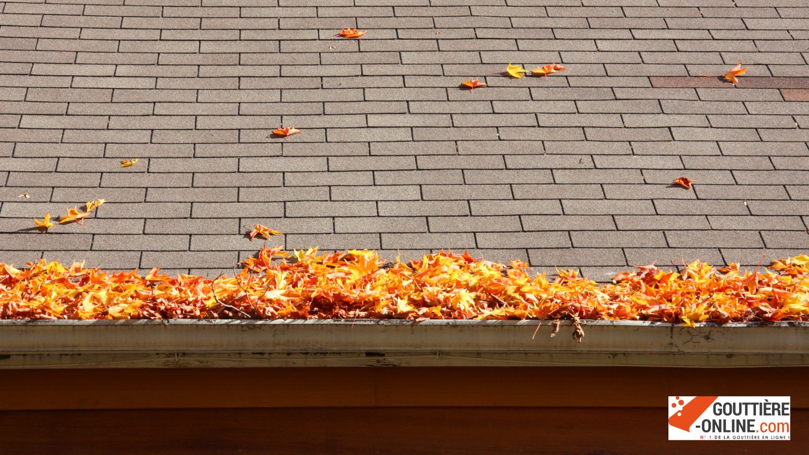 Pare feuille aluminium gouttière G300 protection feuilles installation